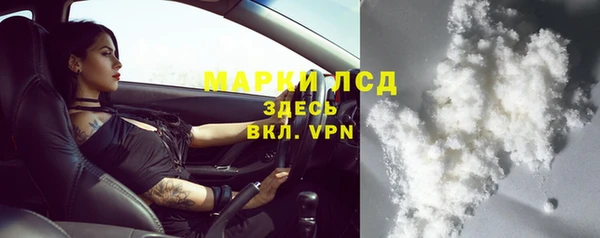 прущие грибы Навашино