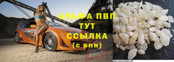 прущие грибы Навашино