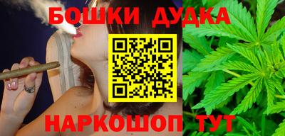 индика Партизанск