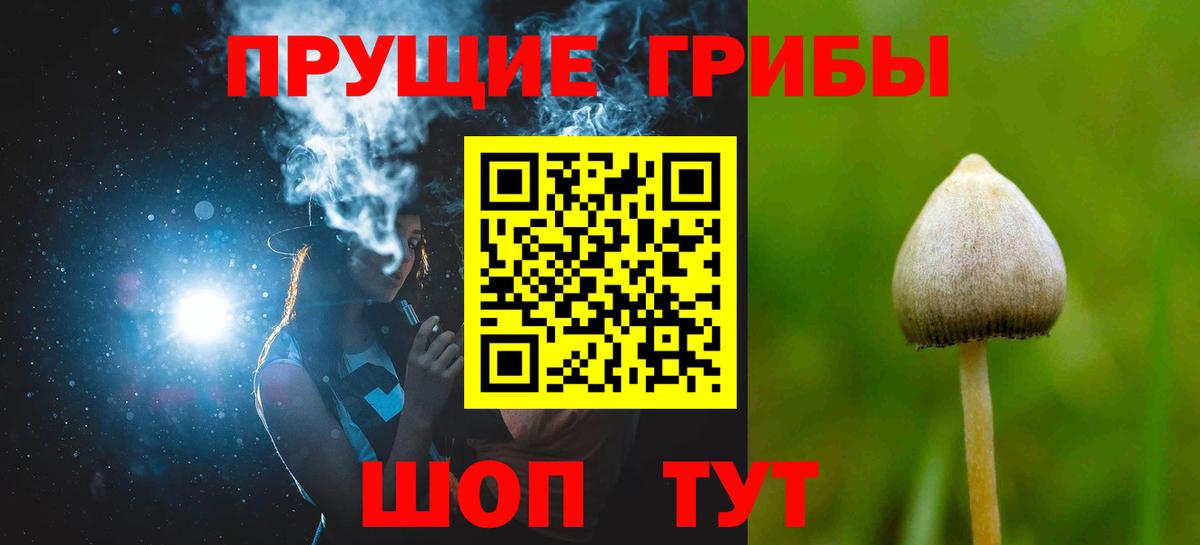 Усть-Лабинск  Галлюциногенные грибы Cubensis  Галлюциногенные грибы Psilocybe  Вход с VPN 